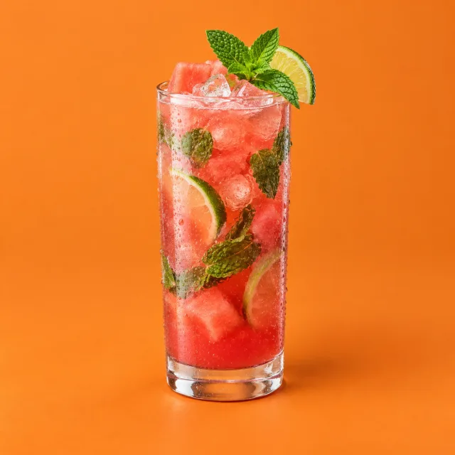 Watermelon Mojito